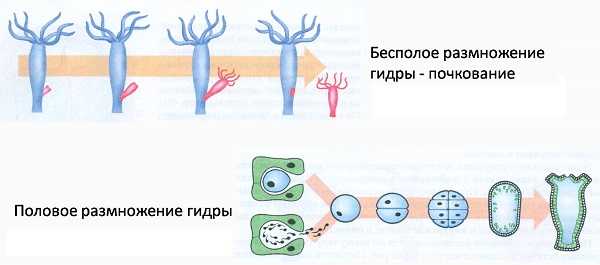 Как зайти на кракен